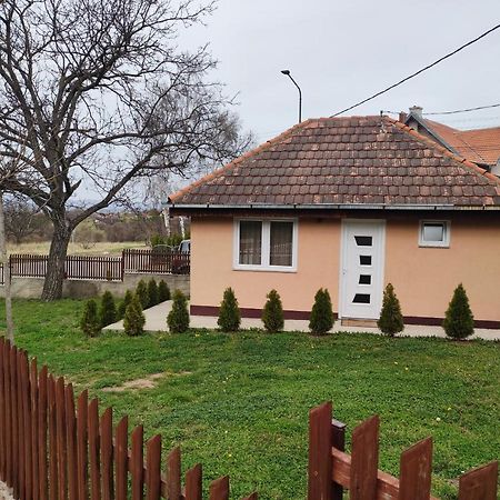 Apartmani Trajkovic Sokobanja Zewnętrze zdjęcie
